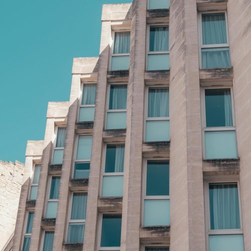 pexels-lmotap-16585825 pexels-lmotap-16585825