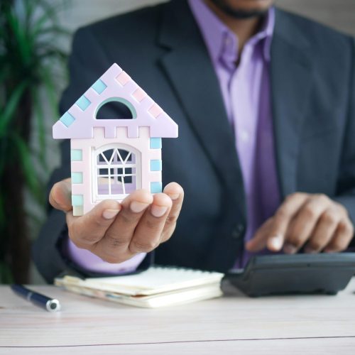 pexels-towfiqu-barbhuiya-3440682-8732777 pexels-towfiqu-barbhuiya-3440682-8732777